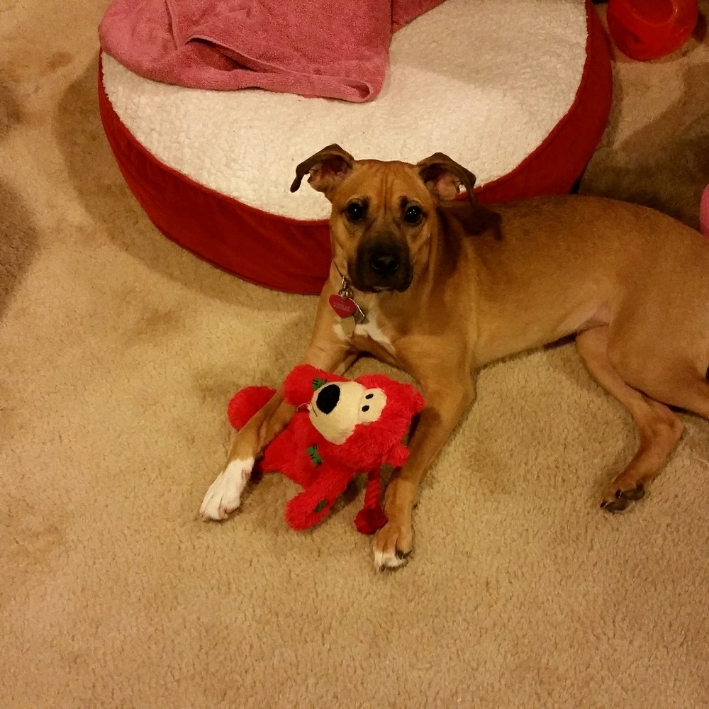 Meet your Posher, Jackie